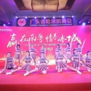 專業攝像服務，為深圳演出公司打造精彩視覺盛宴